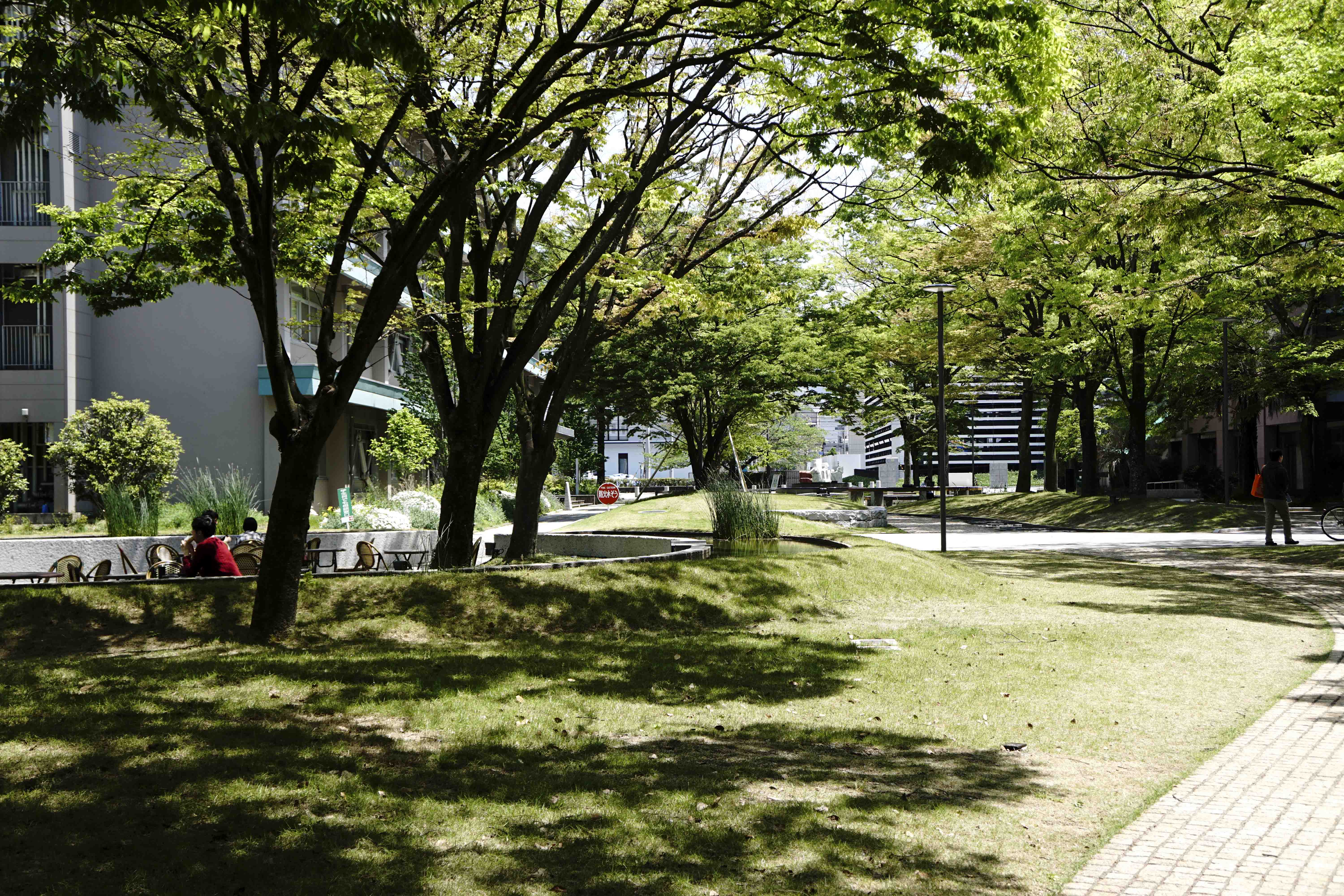 緑が映える愛媛大学