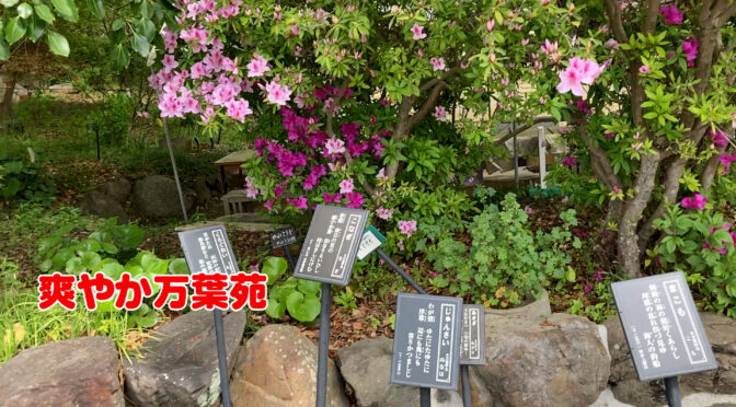 春の護国神社を参拝　万葉苑の花々を語るを投稿します