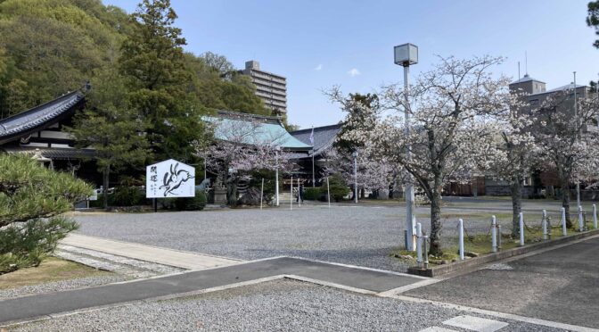 愛媛県護国神社、愛媛万葉苑に桜が咲いたを投稿します
