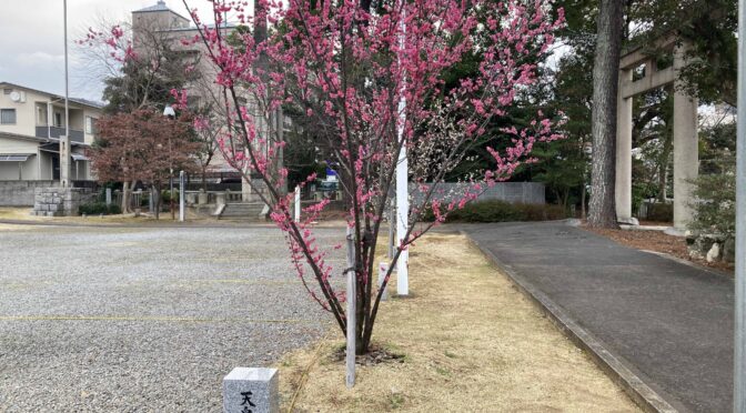 愛媛県護国神社、愛媛万葉苑　１月末から３月末を投稿しました。